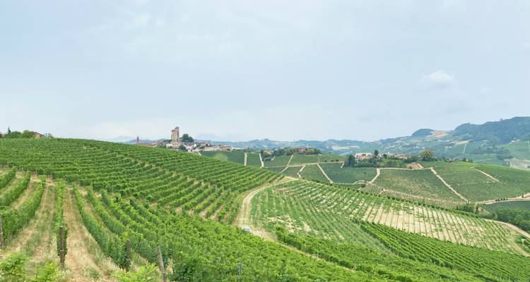 Vista panorámica de terrazas de viñedos que conducen a un pueblo en una colina distante coronado por una torre de piedra.