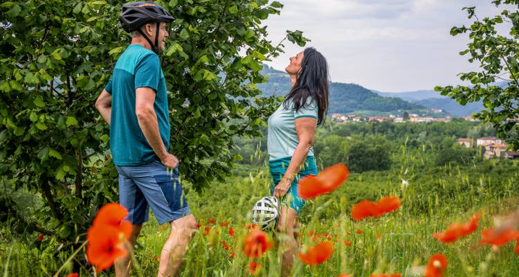 Couple de cyclistes debout parmi des coquelicots rouge vif avec des collines boisées et un village en arrière-plan.