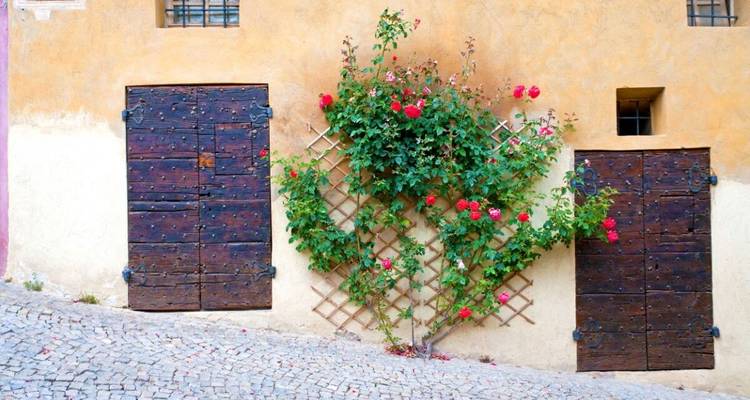Vieux mur avec des portes en bois et des fleurs épanouies.