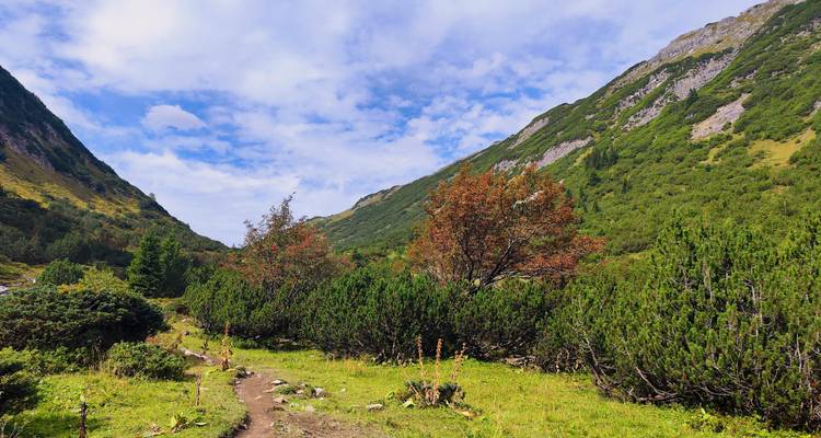 Un paysage de montagne avec un sentier et des arbres aux couleurs automnales.