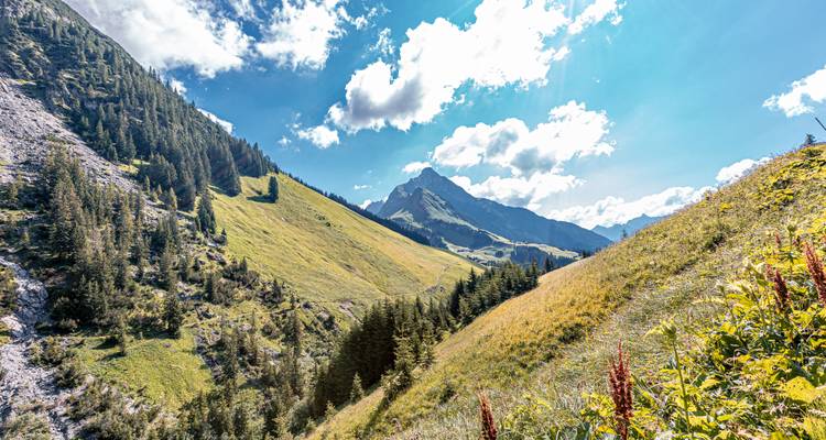 Paysage montagneux ensoleillé avec un ciel bleu dégagé et des pentes herbeuses.