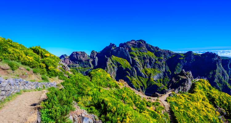 Brightly lit mountain range with vibrant green vegetation.