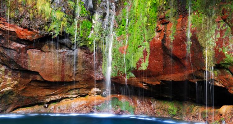Colorful moss and small waterfall flowing over rocks.
