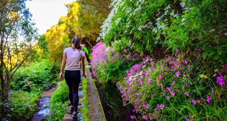 Two people walking along a lush path with bright purple flowers.