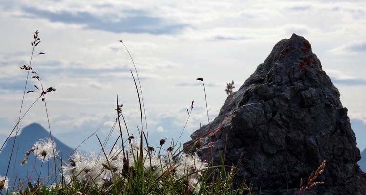Rocher et feuillage au premier plan avec des montagnes en arrière-plan.