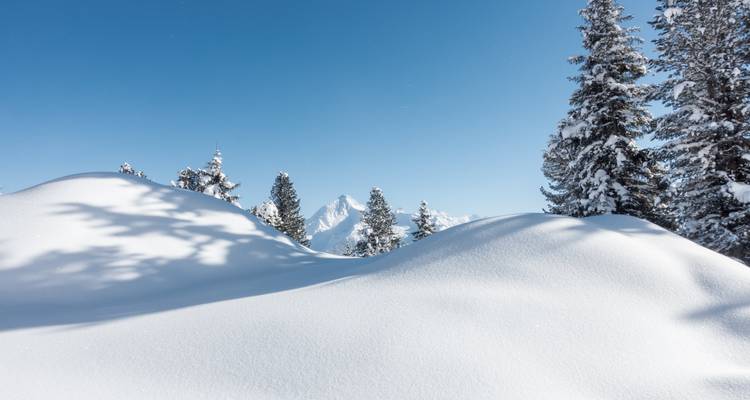 Paysage enneigé avec un sommet de montagne au loin.