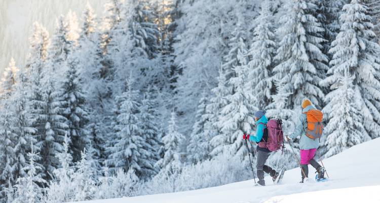 Dos excursionistas en área forestal cubierta de nieve.