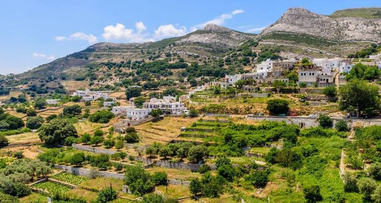 A hillside village with white buildings and terraced farms.