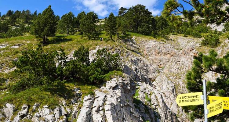 Hikers on a path with directional signs in the mountains.