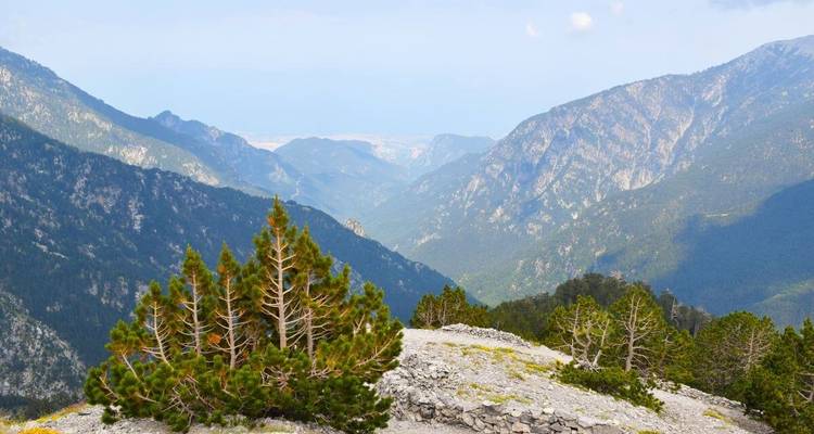 A vast mountain valley landscape with pine trees.