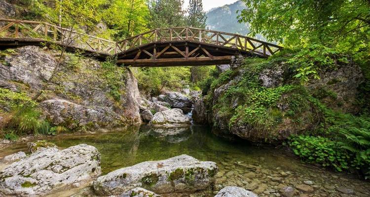 Eine hölzerne Brücke, die sich über ein felsiges Flussbett wölbt, umgeben von üppigem Laub.