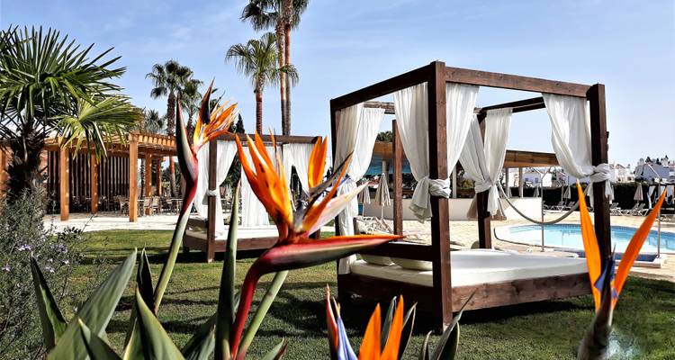 Installation luxueuse au bord de la piscine avec chaises longues et fleurs décoratives.