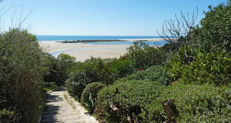 Sentier menant à une vue panoramique sur une plage de sable.