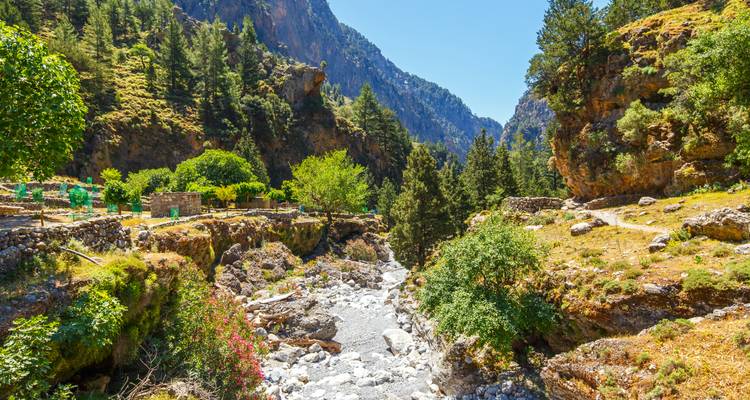 Lush green gorge with trees lining the rocky riverbed.