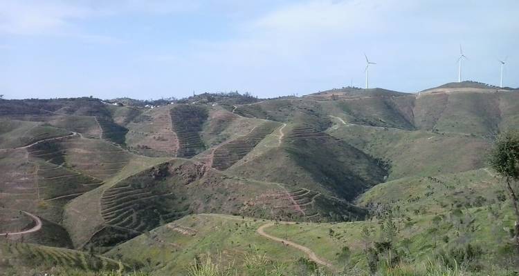 Paysage avec collines ondulantes et éoliennes à l'horizon.