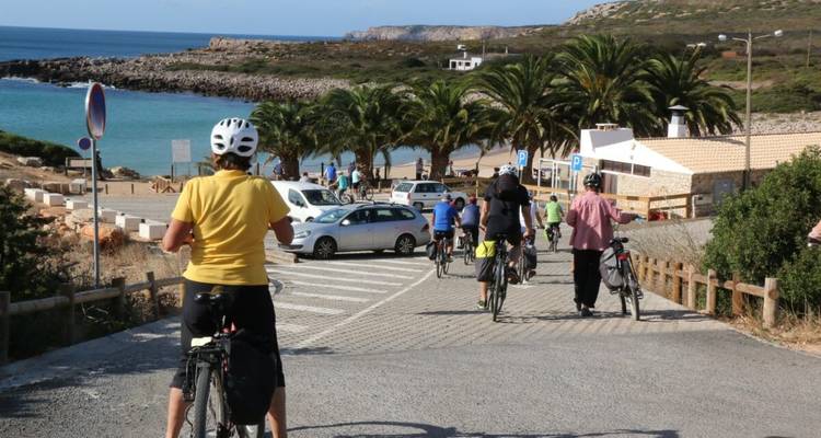 Groupe de cyclistes sur un sentier côtier avec une plage et des palmiers.