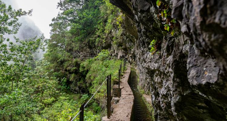 Schmaler Pfad auf einem felsigen Berg, umgeben von Vegetation.