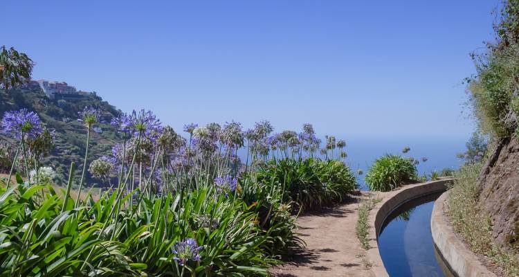 Weg gesäumt mit lila Blumen und Blick auf das Meer.