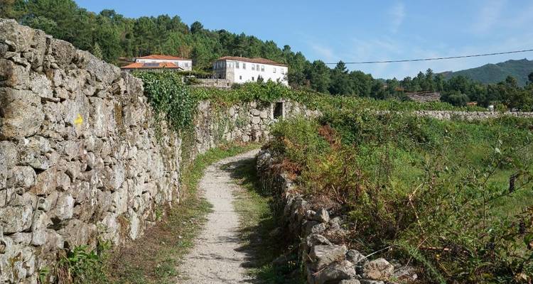 Sentier de mur de pierre en zone rurale.