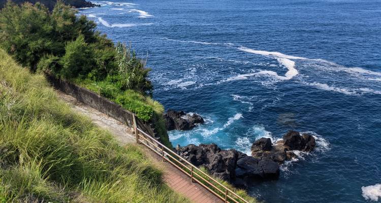 Rocky coast with a railing and a view of the blue ocean.