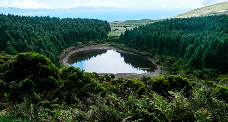 Small lake surrounded by lush green forest.