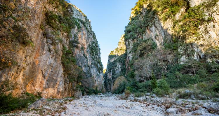 Une gorge rocheuse escarpée avec un lit de rivière asséché, entourée d'arbres.