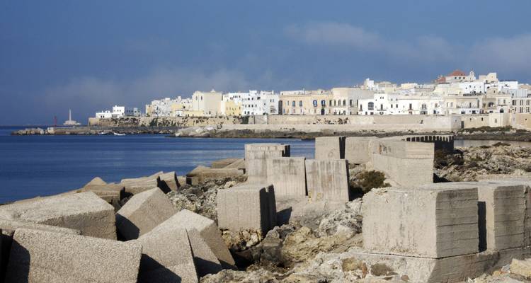 View of a coastline with a distant town.