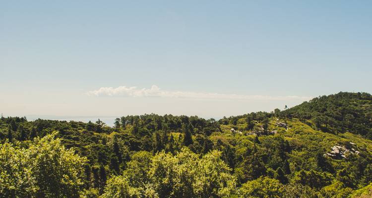 Uitgestrekt uitzicht op groene heuvels onder een heldere blauwe hemel.