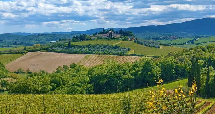 Vineyards and rolling hills under a vibrant sky.
