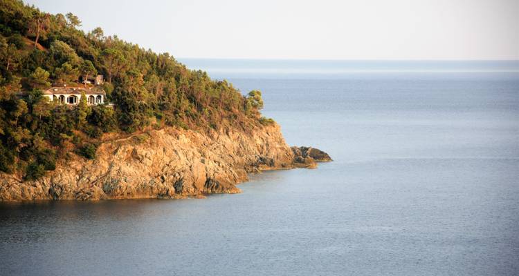 Falaise enveloppée d'arbres au bord d'une mer calme.