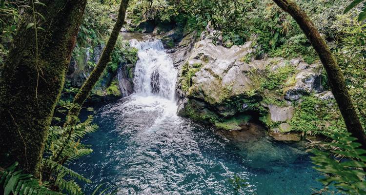 Kleine waterval die stroomt in een heldere poel omgeven door dichte begroeiing.
