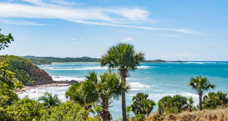 Kustlandschap met turquoise water en palmbomen.
