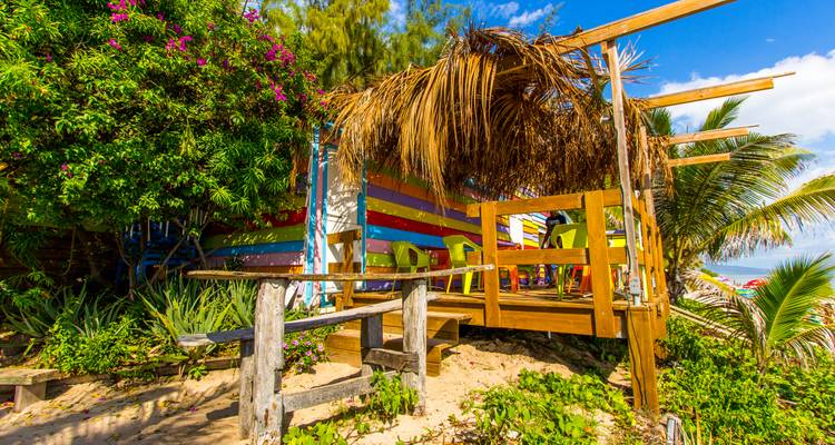 Café colorido junto a la playa bajo palmeras.