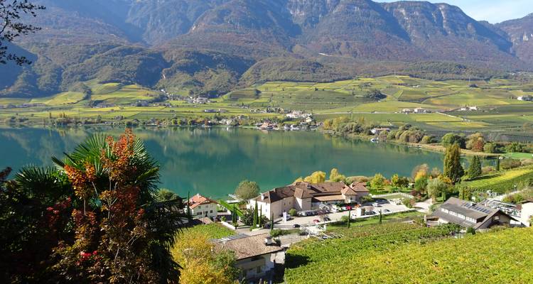 Village au bord du lac avec vignobles et montagnes en arrière-plan.