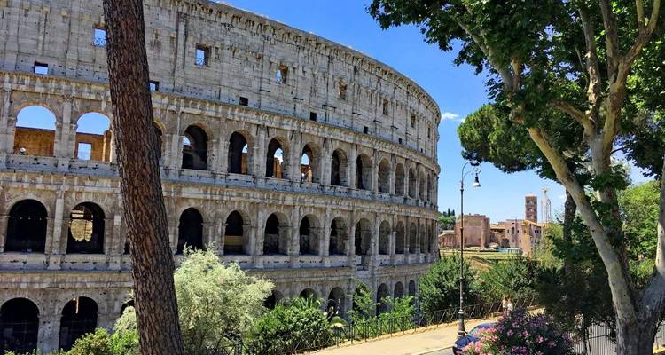 Le Colisée à Rome avec des arbres au premier plan.