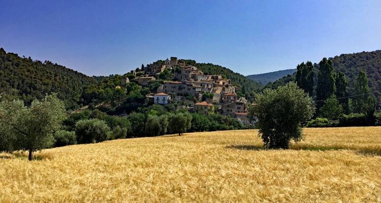 Village sur une colline entouré de champs.