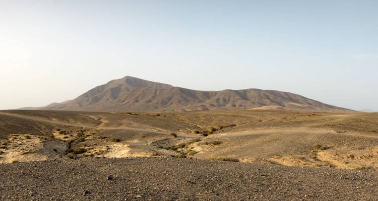 Wüstenlandschaft mit einem Berg in der Ferne.