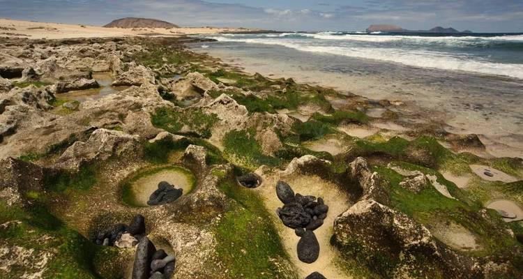 Felsformationen mit grünem Moos am Meer.