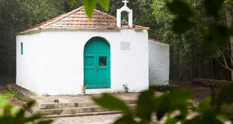 Petite chapelle blanche avec une porte verte entourée d'arbres.