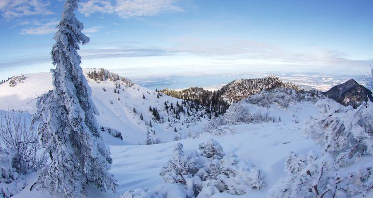 Verschneite Alpenhänge mit reifbedeckter Fichte und weitem Winterpanorama über die Chiemgauer Alpen.