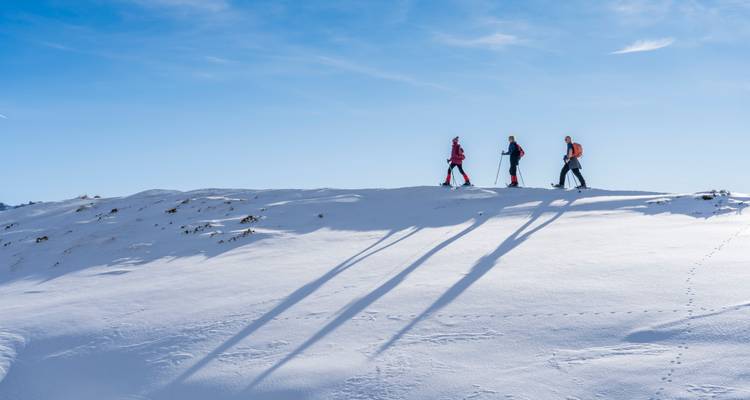 Drei Schneeschuhwanderer durchqueren einen unberührten, schneebedeckten Bergkamm und werfen lange Schatten.