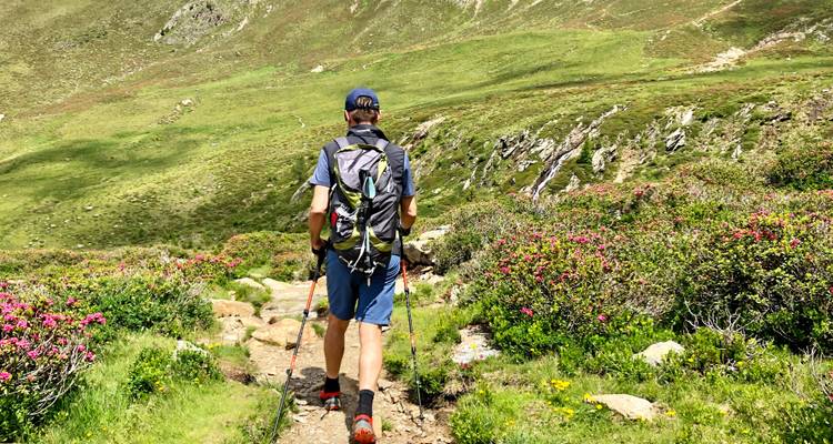 Ein einsamer Wanderer mit Wanderstöcken geht einen malerischen Bergpfad hinunter, umgeben von grünen Bergen und Wildblumen.