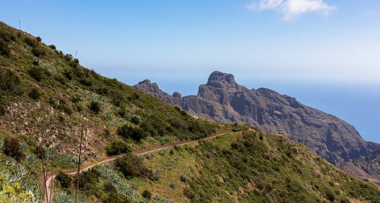 Hilly landscape with rolling hills and ocean view in the distance.