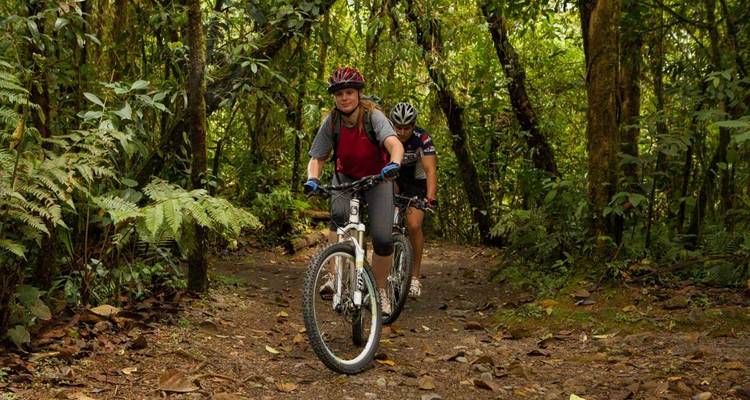 Two bicyclists on a forest path.
