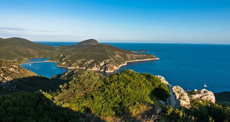 Littoral pittoresque avec une végétation luxuriante et des eaux calmes.