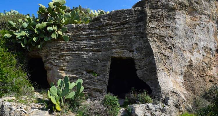 Grottes rocheuses se détachant sur un arrière-plan de végétation.