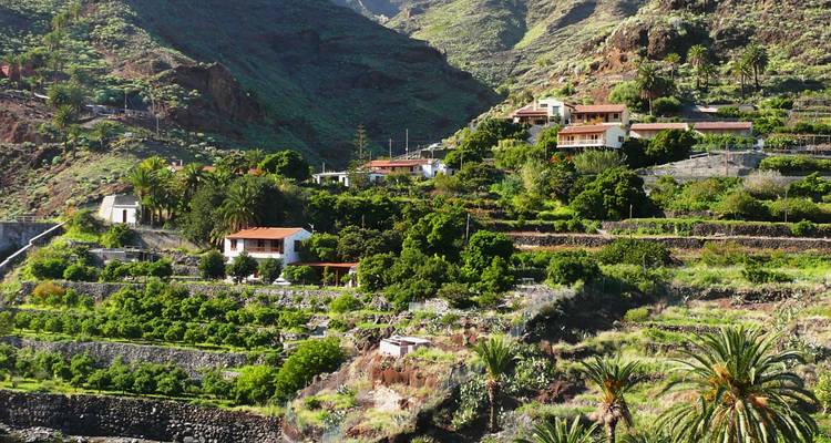 Paisaje exuberante y verde en terrazas con casas y palmeras.