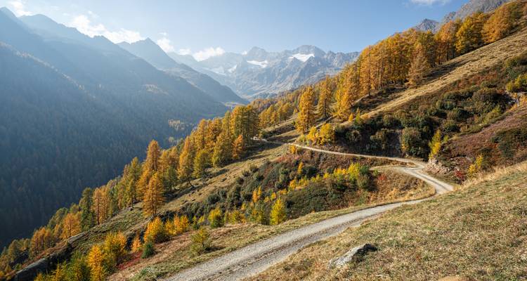 Slingerende bergweg omringd door herfstkleuren.
