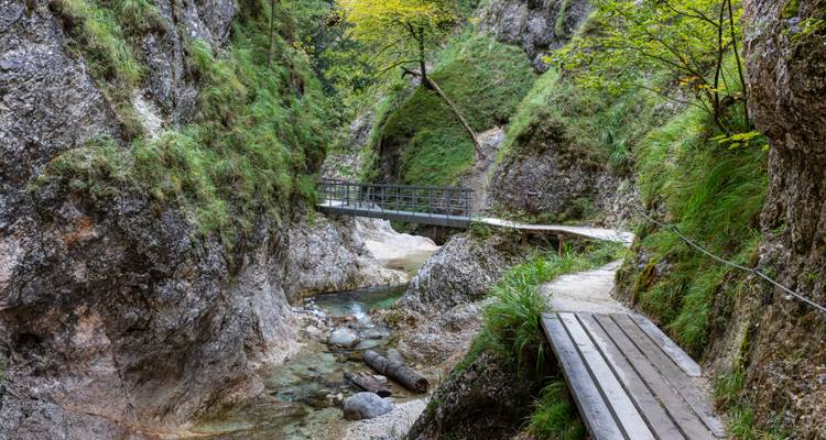 Schmaler Holzsteg, der sich durch eine steile felsige Schlucht mit klarem fließendem Wasser windet.