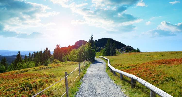 Wanderweg zu Felsformationen mit malerischen Aussichten und Sonnenlicht.